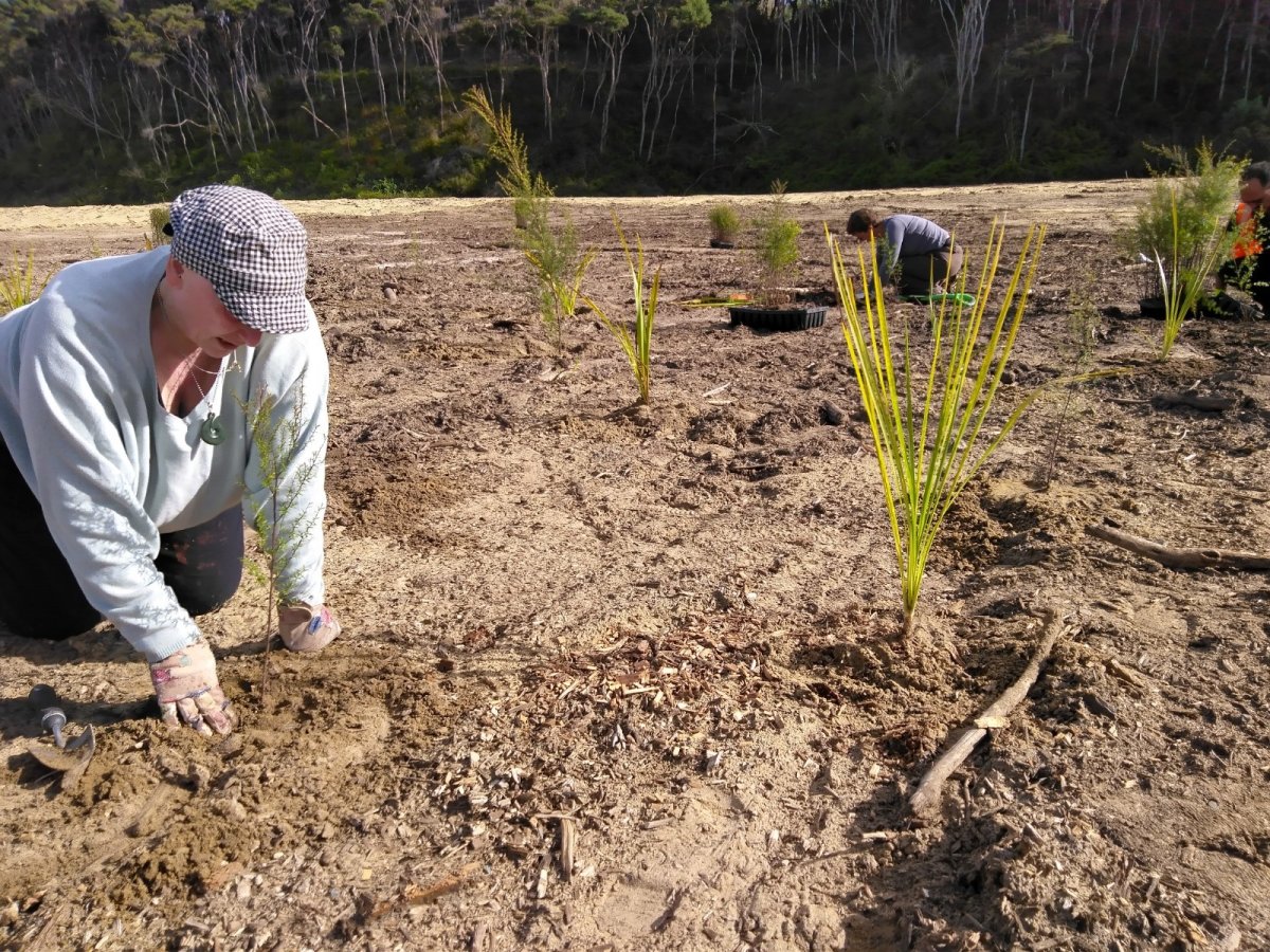 Matariki Planting at Mangawhai Community Park
